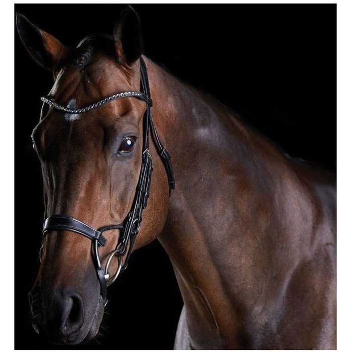 2021 Collegiate Comfitec Crystal Bridle 80770 - Black 1 2021 Collegiate Comfitec Crystal Bridle 80770 - Black