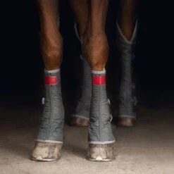 2022 Equilibrium Hind & Hock Magnetic Chaps EQB1186 - Grey -Equestrian Supplies 1852 202220Equilibrium20Hind2020Hock20Magnetic20Chaps20EQB118620 20Grey20Close20Up203.700x700