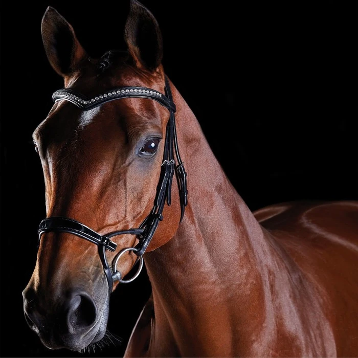 2022 Collegiate Comfitec Patent Bridle 8111 - Black Colour Black 1 2022 Collegiate Comfitec Patent Bridle 8111 - Black Colour Black