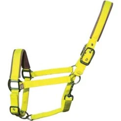 2022 Woof Wear Full Size Contour Head Collar WS0022-YELL-FS - Yellow