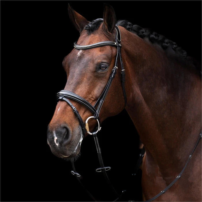 2023 HV Polo Legacy Bridle 1201093500 - Black Colour Black 1 2023 HV Polo Legacy Bridle 1201093500 - Black Colour Black