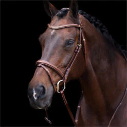2023 HV Polo Legacy Bridle 1201093500 - Brown Colour Brown