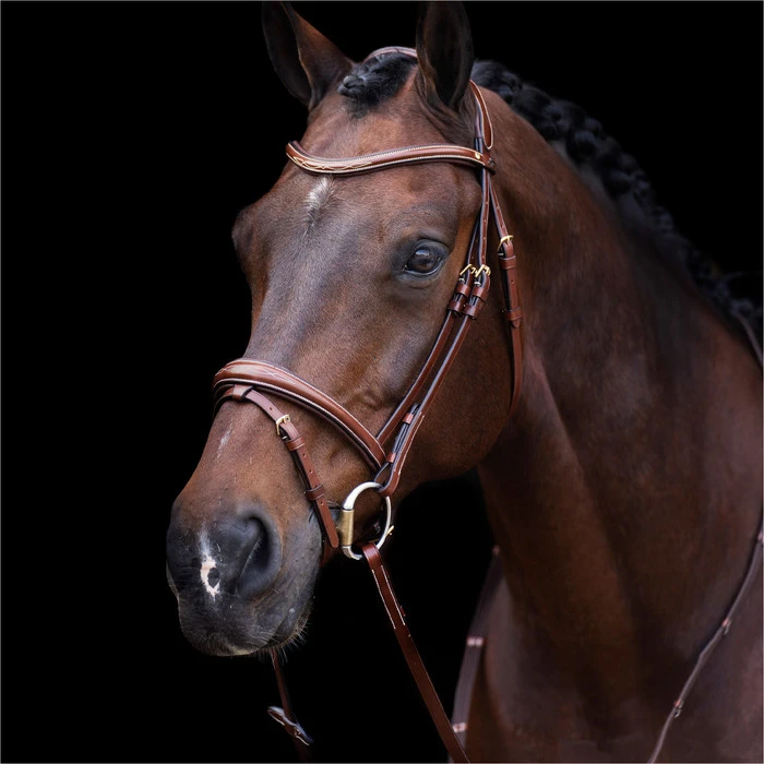 2023 HV Polo Legacy Bridle 1201093500 - Brown Colour Brown 1 2023 HV Polo Legacy Bridle 1201093500 - Brown Colour Brown