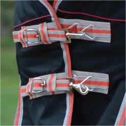 2022 Weatherbeeta Comfitec Premier & Therapy-Tec Medium Detach-A-Neck Turnout Rug - Black / Red 9 2022 Weatherbeeta Comfitec Premier & Therapy-Tec Medium Detach-A-Neck Turnout Rug - Black / Red -Equestrian Supplies 2217 202220Weatherbeeta20Comfitec20Premier20With20Therapy Tec20Medium20Detach A Neck20Rug20100161401020 20Black2020Silver2020Red3.700x700