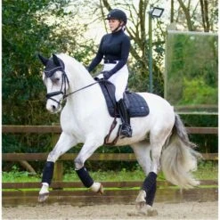 2022 Woof Wear Vision Fly Veil WS0012 - Black Colour Black -Equestrian Supplies 2863 Vision20Black2017.700x700