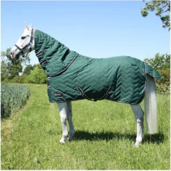 2022 Hy Equestrian DefenceX 100 Stable Rug W / Detachable Neck Cover 29391 - Green