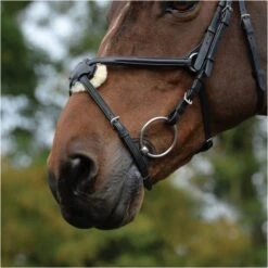 2022 Collegiate Comfitec Grackle Bridle 100637700 - Black Colour Black -Equestrian Supplies 3431 202120Collegiate20Comfitec20Grackle20Bridle2010063770020 20Black20detail.700x700