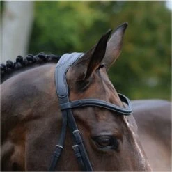2021 Collegiate Comfitec Vogue Anatomical Bridle 100637600 - Black Colour Black -Equestrian Supplies 3436 202120Collegiate20Comfitec20Vogue20Anatomical20Bridle2010063760020 20Black20detail.700x700