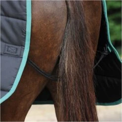 2022 Weatherbeeta Green-Tec Medium-Lite Standard Neck Rug - Black / Green 13 2022 Weatherbeeta Green-Tec Medium-Lite Standard Neck Rug - Black / Green -Equestrian Supplies 3971 3971 7.700x700