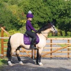 2022 Woof Wear Vision GP Saddle Pad WS0009 - Damsen Purple Colour Damsen Purple -Equestrian Supplies 4638 Damson20Vision20320 20low20res.700x700