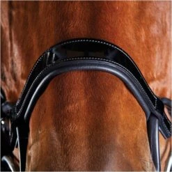 2022 Collegiate Comfitec Patent Bridle 8111 - Black Colour Black 5 2022 Collegiate Comfitec Patent Bridle 8111 - Black Colour Black -Equestrian Supplies 5218 202220Collegiate20Comfitec20Patent20Bridle20811120 20Black3.700x700
