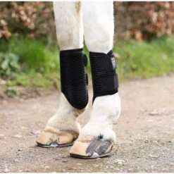 2023 Equilibrium Tri-Zone Brushing Boot 8546 - Black Colour Black 5 2023 Equilibrium Tri-Zone Brushing Boot 8546 - Black Colour Black -Equestrian Supplies 5583 202320Equilibrium20Tri Zone20Brushing20Boot20854620 20Black20Lifestyle2022.700x700