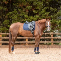 2022 Equilibrium Tri-Zone All Sports Boots EQB16 - Navy -Equestrian Supplies 5586 202220Equilibrium20Tri Zone20All20Sports20Boots20EQB1620 20Navy20Lifestyle203.700x700