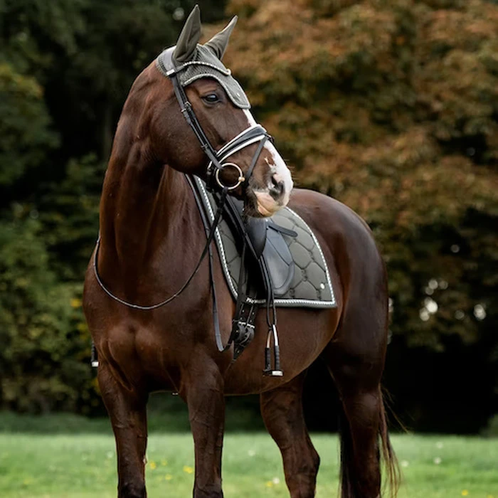 2022 PS Of Sweden Signature Dressage Cotton Saddle Pad 1110-022 - Forest Green 3 2022 PS Of Sweden Signature Dressage Cotton Saddle Pad 1110-022 - Forest Green - Image 3