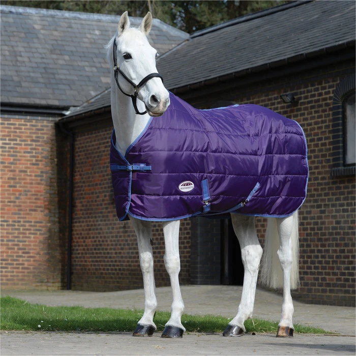 2023 Weatherbeeta Comfitec 210D Channel Quilt Standard Neck Medium / Lite 1002065049 - Violet / Blue 2 2023 Weatherbeeta Comfitec 210D Channel Quilt Standard Neck Medium / Lite 1002065049 - Violet / Blue - Image 2