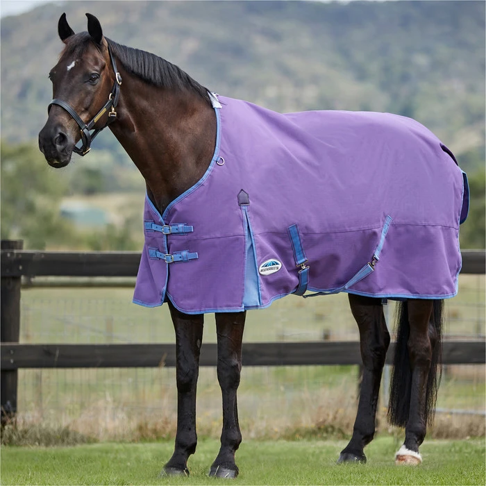 2023 Weatherbeeta Comfitec Essential Standard Neck Lite 100042107 - Violet / Blue 2 2023 Weatherbeeta Comfitec Essential Standard Neck Lite 100042107 - Violet / Blue - Image 2