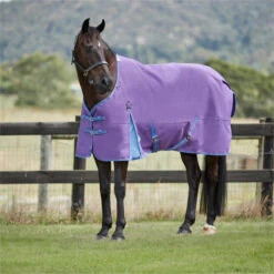 2023 Weatherbeeta Comfitec Essential Standard Neck Lite 100042107 - Violet / Blue 5 2023 Weatherbeeta Comfitec Essential Standard Neck Lite 100042107 - Violet / Blue -Equestrian Supplies 5995 202320Weatherbeeta20Comfitec20Essential20Standard20Neck20Lite2010004210720 20Violet20Blue20Lifestyle202.700x700
