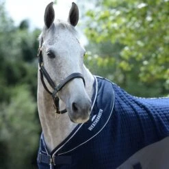 2023 Weatherbeeta Thermo-Air Cooler Sheet Standard Neck 10189250 - Navy / Grey 5 2023 Weatherbeeta Thermo-Air Cooler Sheet Standard Neck 10189250 - Navy / Grey -Equestrian Supplies 6000 202320Weatherbeeta20Thermo Air20Cooler20Sheet20Standard20Neck201018925020 20Navy2020Grey20worn202.700x700