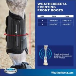2023 Weatherbeeta Eventing Front Boots 8076 - Black 12 2023 Weatherbeeta Eventing Front Boots 8076 - Black -Equestrian Supplies 6030 202320Weatherbeeta20Eventing20Front20Boots20807620 20Black20size.700x700