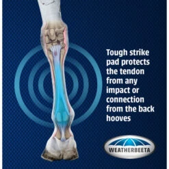 2023 Weatherbeeta Eventing Front Boots 8076 - Black 13 2023 Weatherbeeta Eventing Front Boots 8076 - Black -Equestrian Supplies 6030 WB20Cross20Country20FR20Boots Graphic.700x700