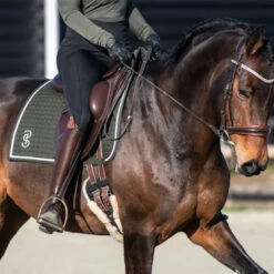 2023 PS Of Sweden Elite Dressage Saddle Pad 1110038665 - Dark Green -Equestrian Supplies 6074 202320PS20of20Sweden20Elite20Dressage20Saddle20Pad20111003866520 20Dark20Green20Lifestyle.700x700