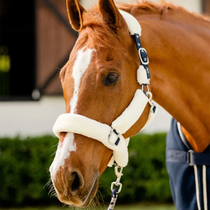 2023 PS Of Sweden Fluffy Halter 1310-001 - White / Navy 2 2023 PS Of Sweden Fluffy Halter 1310-001 - White / Navy - Image 2