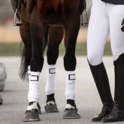 Front Page -Equestrian Supplies 6092 202320PS20of20Sweden20Polos20Signature20Bandages201430 02920 20White20Lifestyle.700x700