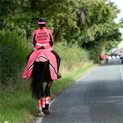 2023 Equisafety Hi-Vis Waterproof Wrap Around Exercise Rug WRUG - Pink -Equestrian Supplies 6120 202320Equisafety20Hi Vis20Waterproof20Wrap20Around20Exercise20Rug20WRUG20 20Pink 20Lifestyle.700x700
