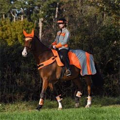 2023 Equisafety Mercury Reflective Exercise Rug MRUG-RO - Orange Colour Orange -Equestrian Supplies 6121 202320Equisafety20Mercury20Reflective20Exercise20Rug20MRUG RO20 20Orange 20Lifestyle.700x700
