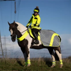 2023 Equisafety Mercury Reflective Exercise Rug MRUG-RO - Yellow Colour Yellow -Equestrian Supplies 6122 202320Equisafety20Mercury20Reflective20Exercise20Rug20MRUG RO20 20Yellow 20Lifestyle202.700x700