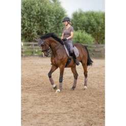 2023 HV Polo Jenna Dressage Saddle Pad 802093502 - Espresso Colour Espresso -Equestrian Supplies 6152 203A6760.700x700