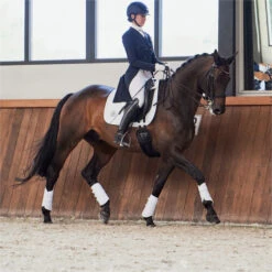 2023 Eskadron Highgloss Peacock Saddle Cloth 214731 544 - White Colour White -Equestrian Supplies 6273 202320Eskadron20Highgloss20Peacock20Saddle20Cloth202147312054420 20White20Lifestyle203.700x700