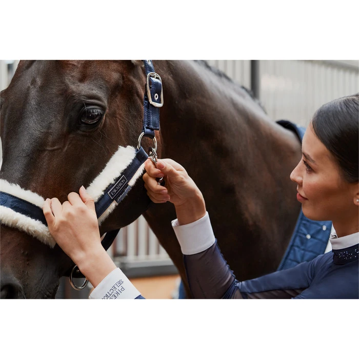 2023 Eskadron Double Pin Matt Gloss Evo-Wool Headcollar 420831 838 - Navy 3 2023 Eskadron Double Pin Matt Gloss Evo-Wool Headcollar 420831 838 - Navy - Image 3