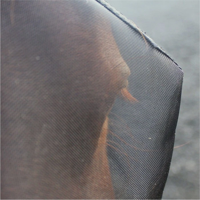 2023 Woof Wear UV Fly Mask With Ears & UV Nose Protector Bundle FMNPUV23 - Black / Turquoise Colour Black / Turquoise 3 2023 Woof Wear UV Fly Mask With Ears & UV Nose Protector Bundle FMNPUV23 - Black / Turquoise Colour Black / Turquoise - Image 3