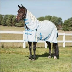 2023 Weatherbeeta Summer Sheet IV Lite Rug & Fly Mask SUPER DEAL WTRFM1 - Seahorse Print / Black / Turquoise -Equestrian Supplies 6373 202320Weatherbeeta20Summer20Sheet20IV20Lite20Combo20Neck20Rug201018381020 20Seahorse20print.2000x2000.700x700