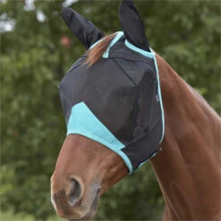 2023 Weatherbeeta Summer Sheet IV Lite Rug & Fly Mask SUPER DEAL WTRFM1 - Seahorse Print / Black / Turquoise -Equestrian Supplies 6373 202320Weatherbeeta20Summer20Sheet20Lite20Rug2020Fly20Mask20MEGA20DEAL20Bundle20WTRFM120 20Seahorse20Print20Black2020Turquoise2011.700x700