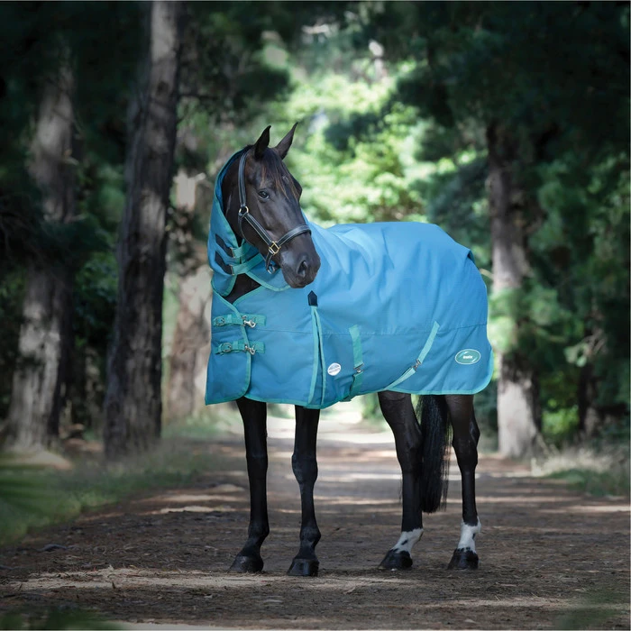 2023 Weatherbeeta Green-Tec 1200D Detach-A-Neck Lite Plus Turnout Rug - Dragonfly Blue / Bottle Green 4 2023 Weatherbeeta Green-Tec 1200D Detach-A-Neck Lite Plus Turnout Rug - Dragonfly Blue / Bottle Green - Image 4