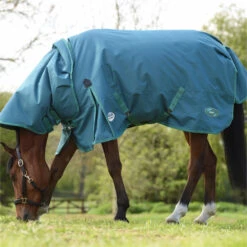 2023 Weatherbeeta Green-Tec 1200D Detach-A-Neck Lite Plus Turnout Rug - Dragonfly Blue / Bottle Green 6 2023 Weatherbeeta Green-Tec 1200D Detach-A-Neck Lite Plus Turnout Rug - Dragonfly Blue / Bottle Green -Equestrian Supplies 6379 202320Weatherbeeta20Green Tec201200D20Detach A Neck20Lite20Plus20Turnout20Rug20 20Dragonfly20Blue203.700x700