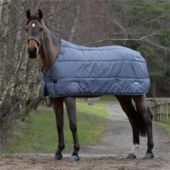 2023 Weatherbeeta Green-Tec Standard Neck Medium / Lite Stable Liner 1021797 - Grey -Equestrian Supplies 6381 202320Weatherbeeta20Green Tec20Standard20Neck20Medium2020Lite20Stable20Liner20102179720 20Grey20204.700x700