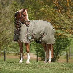 2023 Weatherbeeta Comfitec Essential Combo Neck Medium Turnout Rug 10004151 - Olive Green / Burgundy / White Colour Olive Green / Burgundy / White 5 2023 Weatherbeeta Comfitec Essential Combo Neck Medium Turnout Rug 10004151 - Olive Green / Burgundy / White Colour Olive Green / Burgundy / White -Equestrian Supplies 6385 202320Weatherbeeta20Comfitec20Essential20Combo20Neck20Medium20Turnout20Rug201000415120 20Olive20Green2020Burgundy2020White202.700x700