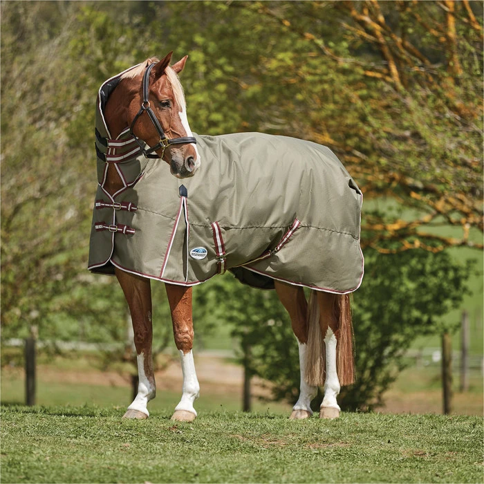 2023 Weatherbeeta Comfitec Essential Combo Neck Medium Turnout Rug 10004151 - Olive Green / Burgundy / White Colour Olive Green / Burgundy / White 3 2023 Weatherbeeta Comfitec Essential Combo Neck Medium Turnout Rug 10004151 - Olive Green / Burgundy / White Colour Olive Green / Burgundy / White - Image 3