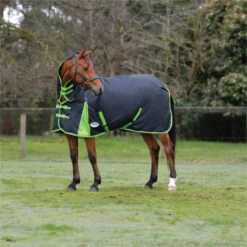 2023 Weatherbeeta Comfitec Classic Combo Neck Medium Turnout Rug 1000423 - Black / Lime Green Colour Black/Lime Green -Equestrian Supplies 6387 202320Weatherbeeta20Comfitec20Classic20Combo20Neck20Medium20Turnout20Rug20100042320 20Black20Lime20Green20202.700x700