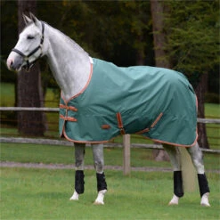 2023 Weatherbeeta Comfitec Tyro Combo Neck Medium Turnout Rug 1021798 - Green / Burnt Orange / White -Equestrian Supplies 6388 202320Weatherbeeta20Comfitec20Tyro20Combo20Neck20Medium20Turnout20Rug20102179820 20Green2020Burnt20Orange2020White202.700x700