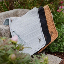 2023 Eskadron Platinum Softshell Saddle Cloth 215539520310 - Black Colour Black 6 2023 Eskadron Platinum Softshell Saddle Cloth 215539520310 - Black Colour Black -Equestrian Supplies 6576 202320Eskadron20Platinum20Softshell20Saddle20Cloth2021553952031020 20Black20Lifestyle202.700x700