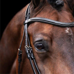 2023 HV Polo Legacy Bridle 1201093500 - Black Colour Black 6 2023 HV Polo Legacy Bridle 1201093500 - Black Colour Black -Equestrian Supplies 6920 202320HV20Polo20Legacy20Bridle20120109350020 20Black203.700x700
