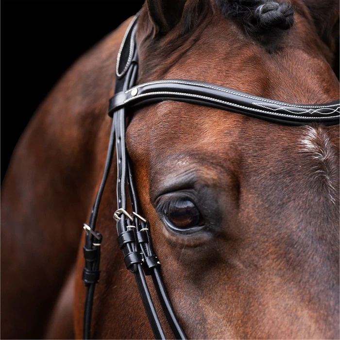 2023 HV Polo Legacy Bridle 1201093500 - Black Colour Black 3 2023 HV Polo Legacy Bridle 1201093500 - Black Colour Black - Image 3