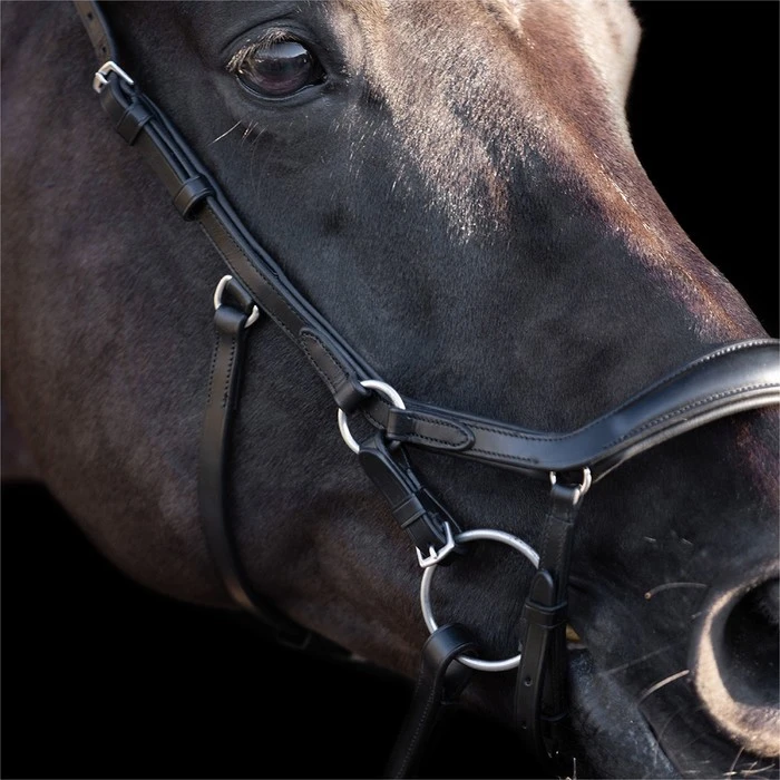 2023 HV Polo Legacy Anatomical Deluxe Bridle 1201093502 - Black 3 2023 HV Polo Legacy Anatomical Deluxe Bridle 1201093502 - Black - Image 3