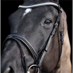 2023 HV Polo Legacy Deluxe Bridle 1201093501 - Black Colour Black 9 2023 HV Polo Legacy Deluxe Bridle 1201093501 - Black Colour Black -Equestrian Supplies 6923 202320HV20Polo20Legacy20Deluxe20Bridle20120109350120 20Black204.700x700