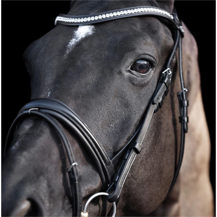 2023 HV Polo Legacy Deluxe Bridle 1201093501 - Black Colour Black 5 2023 HV Polo Legacy Deluxe Bridle 1201093501 - Black Colour Black - Image 5