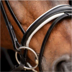 2023 HV Polo Legacy Deluxe Bridle 1201093501 - Black / White Colour Black/White -Equestrian Supplies 6924 202320HV20Polo20Legacy20Deluxe20Bridle20120109350120 20Black20White20A3.700x700